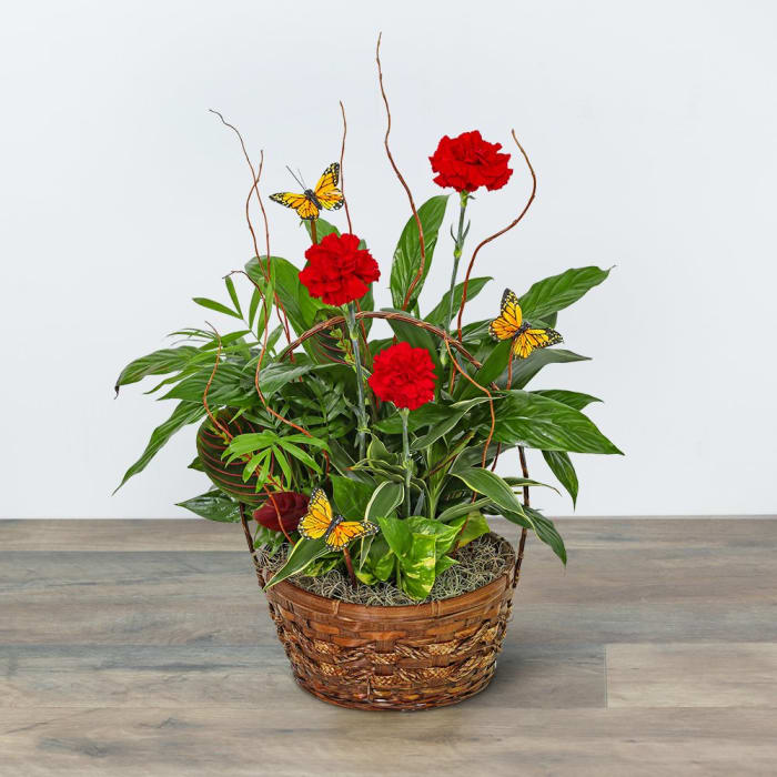 Red Blooms and Butterflies Dish Garden