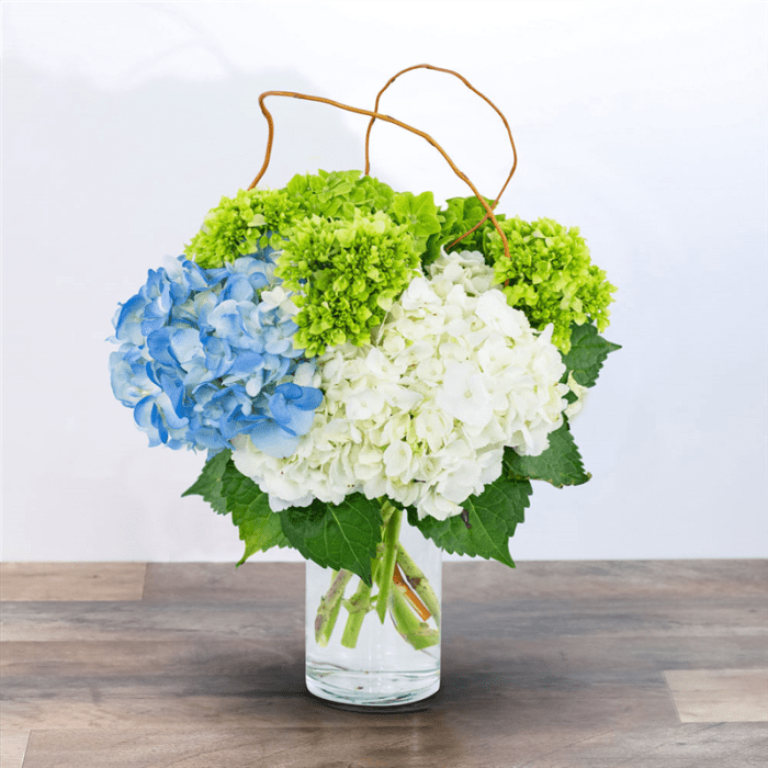 Hydrangea Perfection