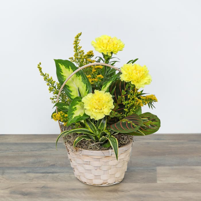 Dish Garden with Yellow Florals