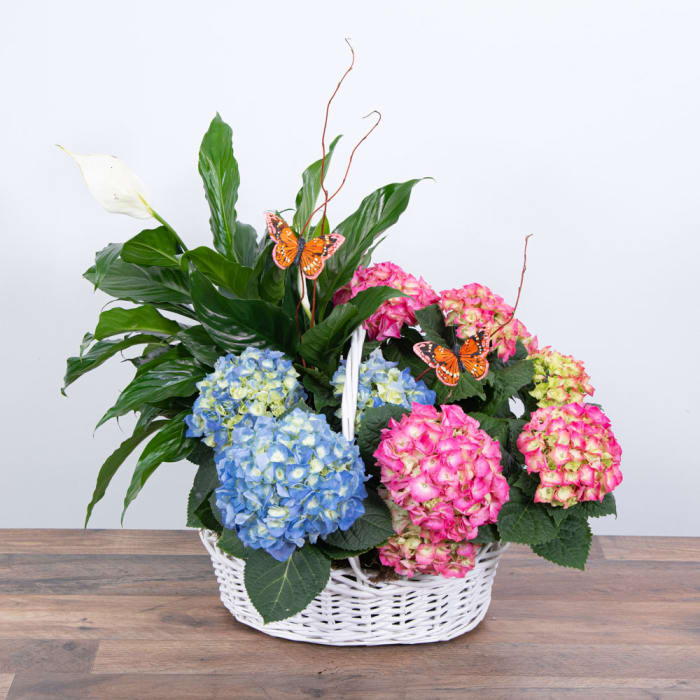 Bountiful Basket with Butterflies