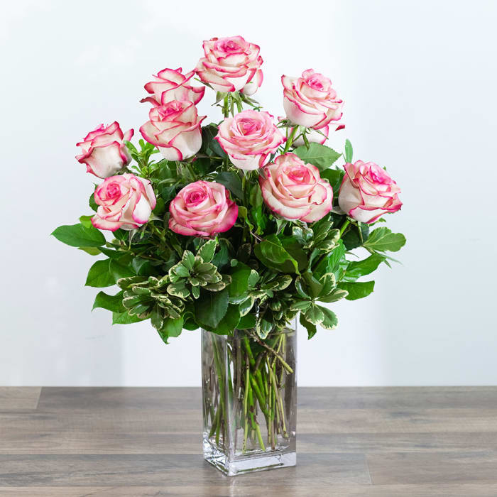 Paloma Roses (12)