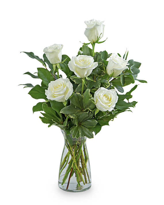 White Roses (6)