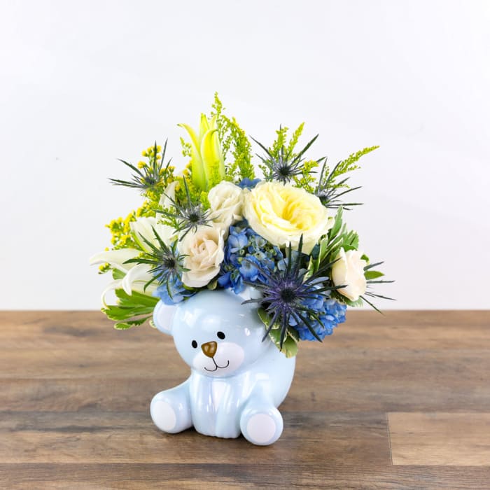 Little Bear Blue