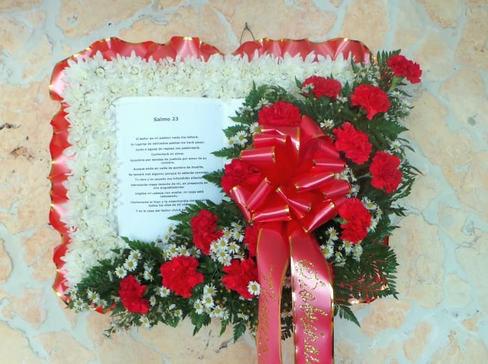 F-52 Biblia de pompones y focal de claveles