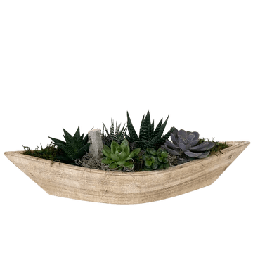 Large Succulent Boat Planter