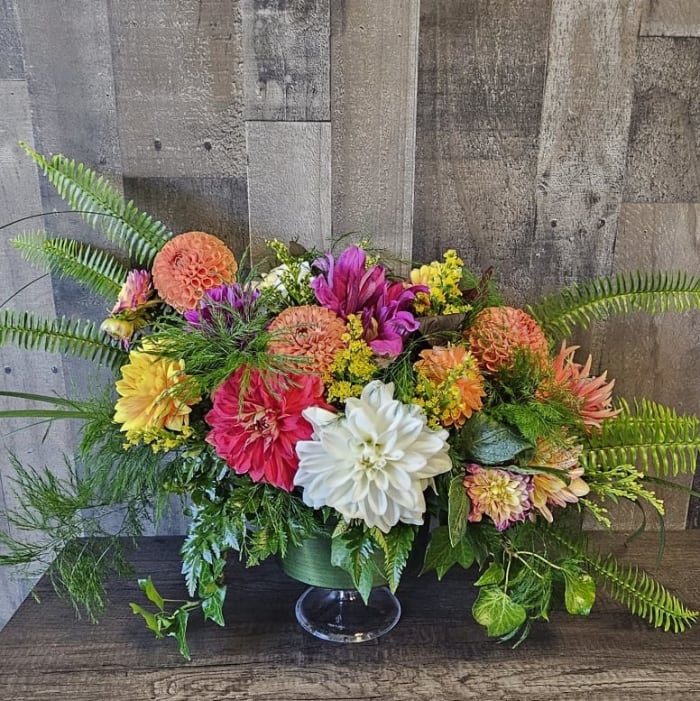 Dahlia Elegant Mix- Colors Will Vary