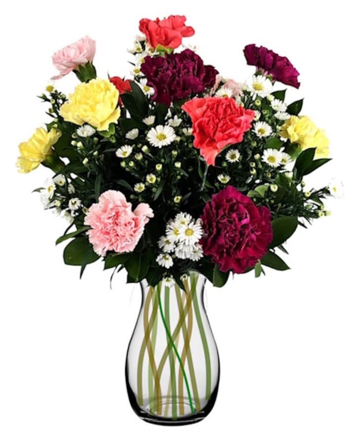 Carnations Mixed Colors (Colors Vary)