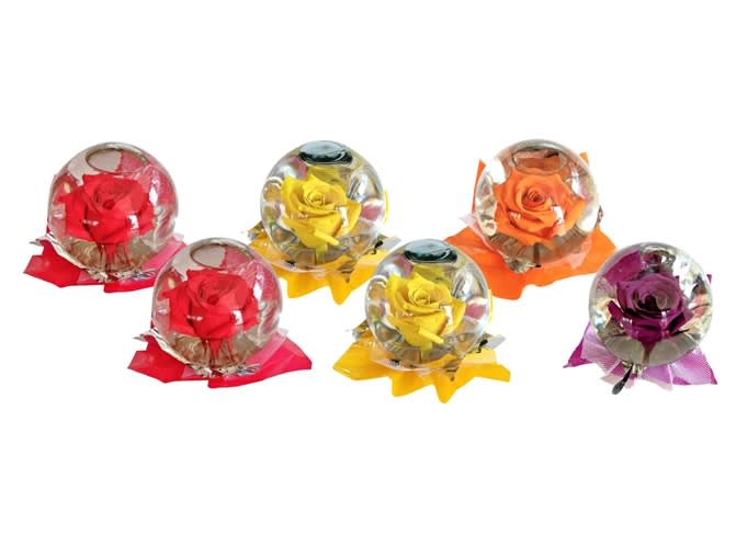 Preserved Rose Globes