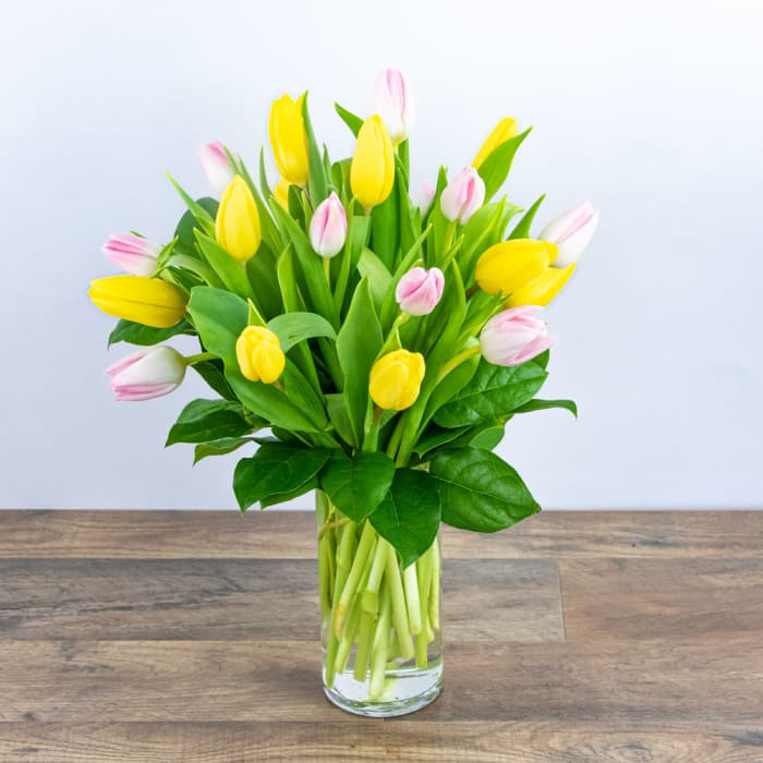 Strawberry Lemonade Deluxe Tulips