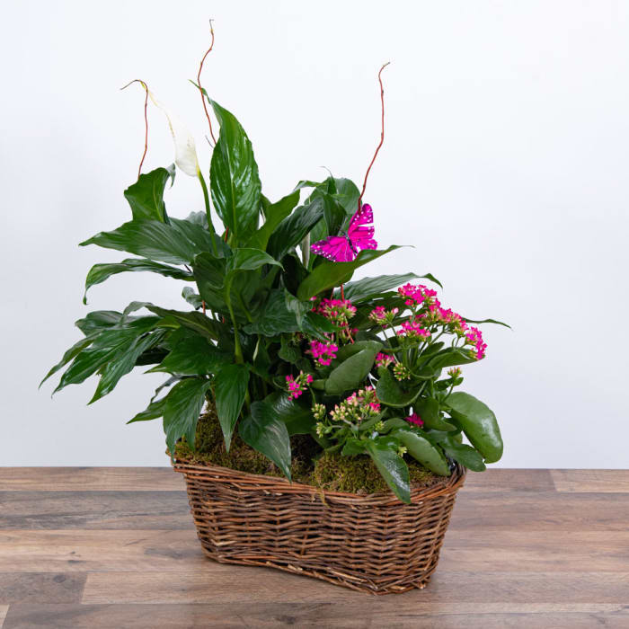 Harmony Basket with Butterflies