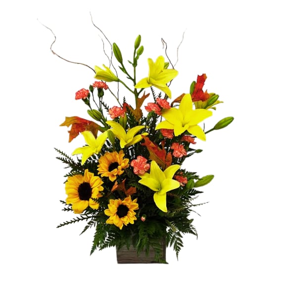 Golden Glaze IF-5020