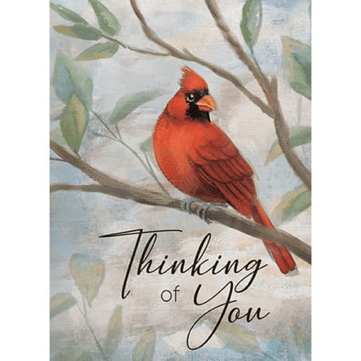 Thinking of You Sympathy Card