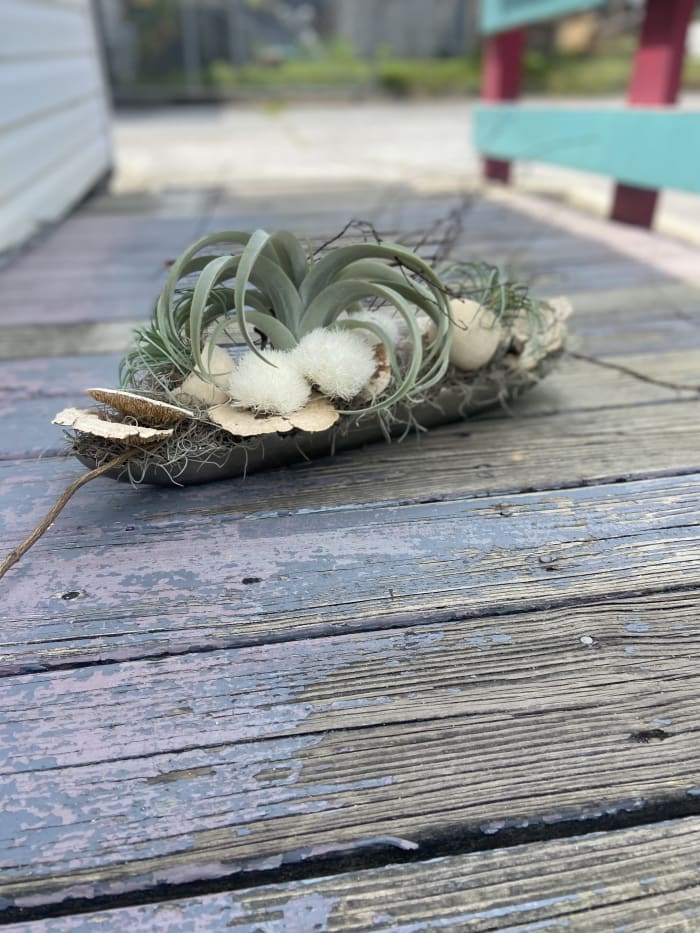 Air plant/Succulent dish garden - faux