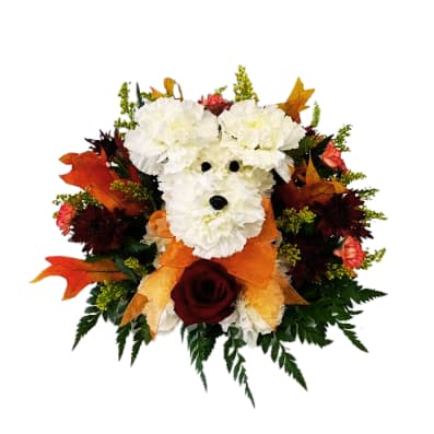 Fiesta Autumn Pooch P-9037