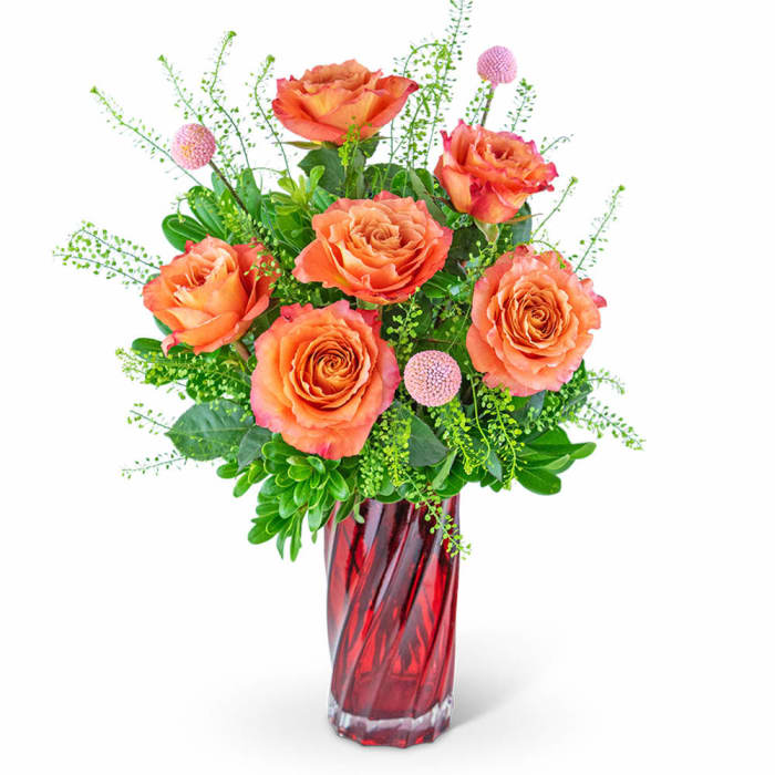 Swirling Free Spirit