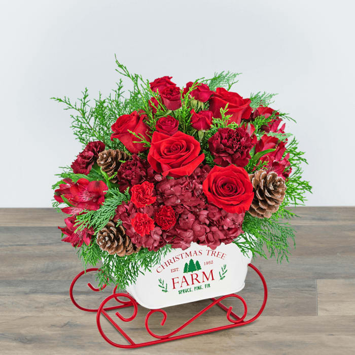 Ruby Rhapsody Keepsake Sleigh