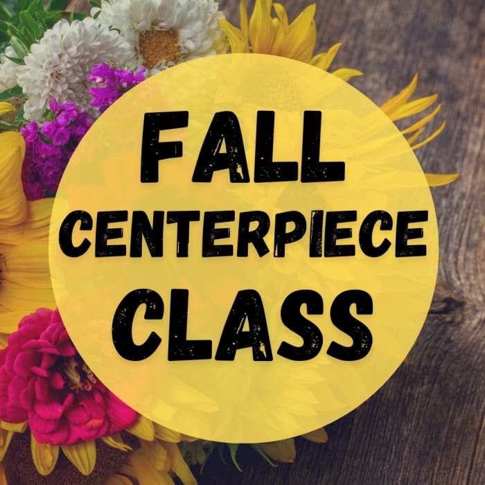 Nov. 25th Fall Pumpkin Centerpiece Class