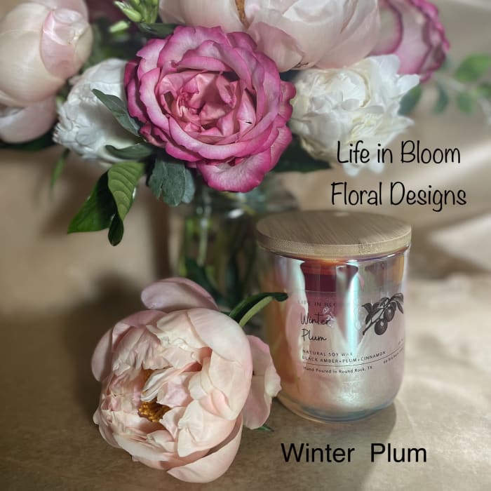 Winter Plum Soy Candle 10oz Prism Lux Jar