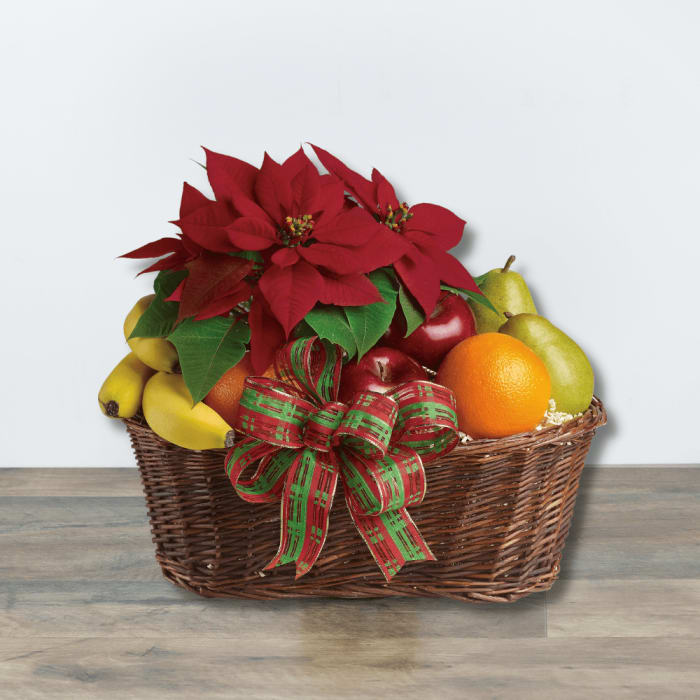 Fruit & Poinsettia Basket
