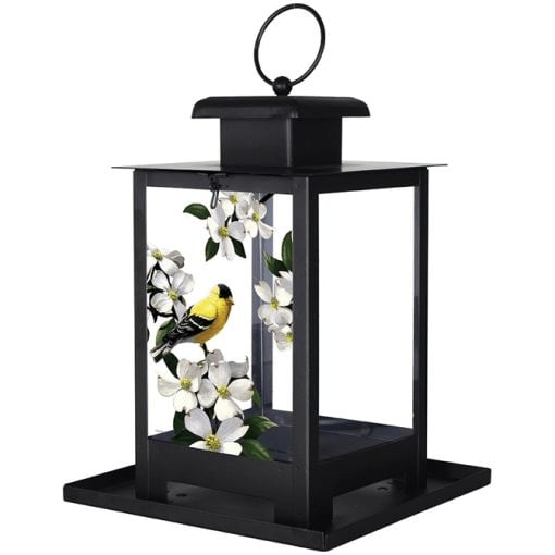 Golden Dogwood Bird Feeder