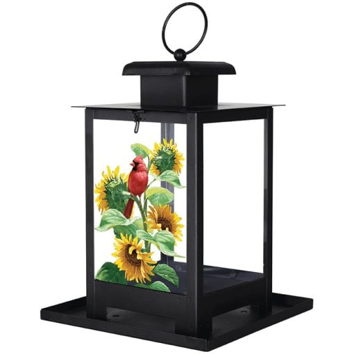 Sunny Perch Bird Feeder