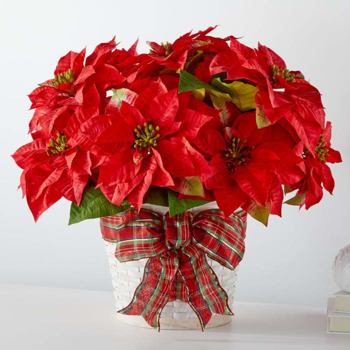 Happiest Holidays Poinsettia