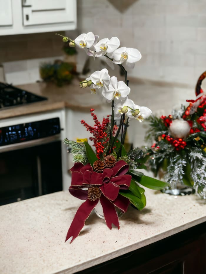 Holiday Orchid Design 1