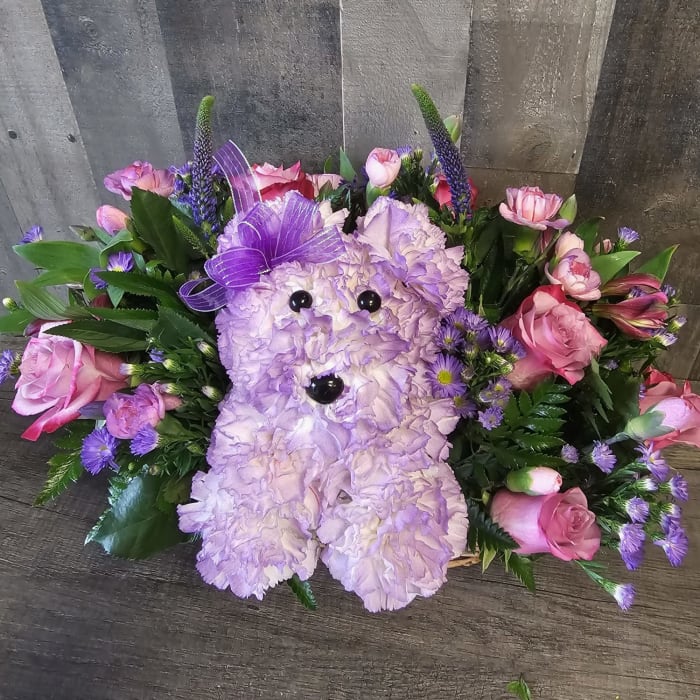 Purple Pup Flower Delivery WinstonSalem NC Florist at Adolfos