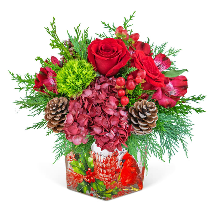 Cranberry Forest Cardinal