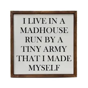 10x10 I Live In A Madhouse Sign