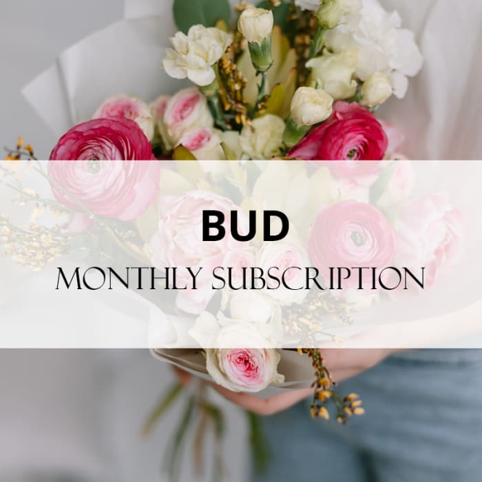 BUD Monthly Subscription