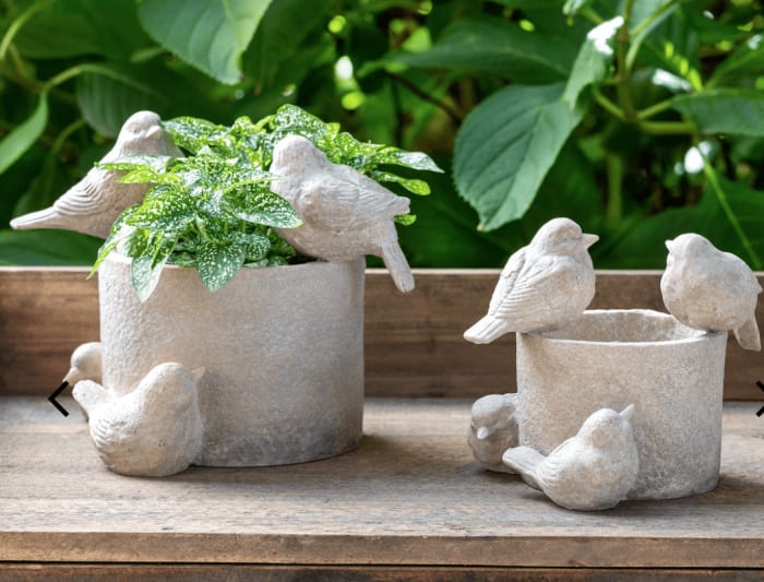 Bird Planter