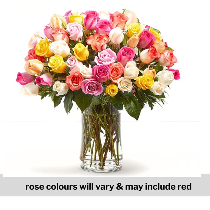 Love Knows No Bounds - 5 Dozen Coloured Roses