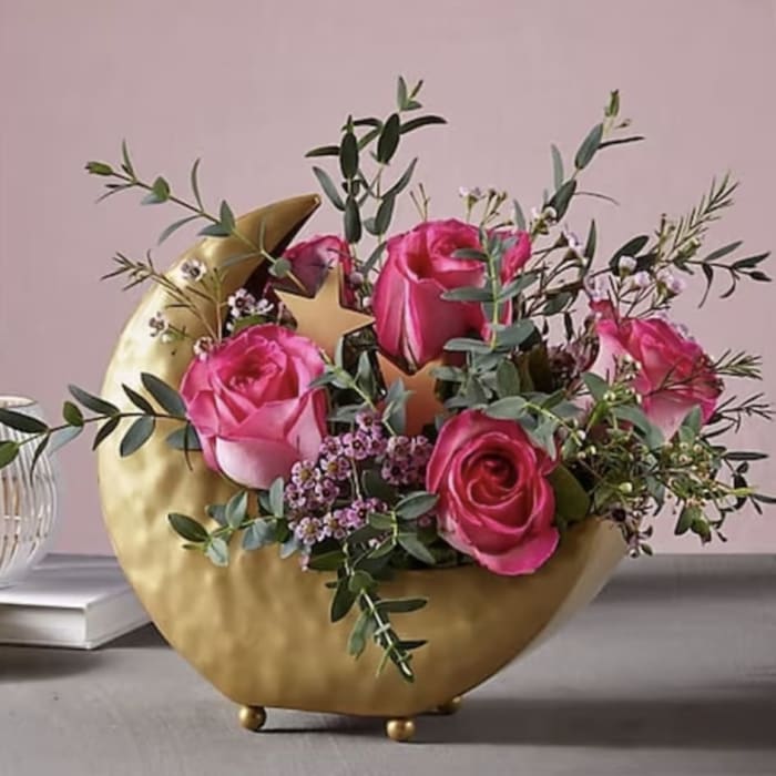 Wildest Dreams Moonlit Romance