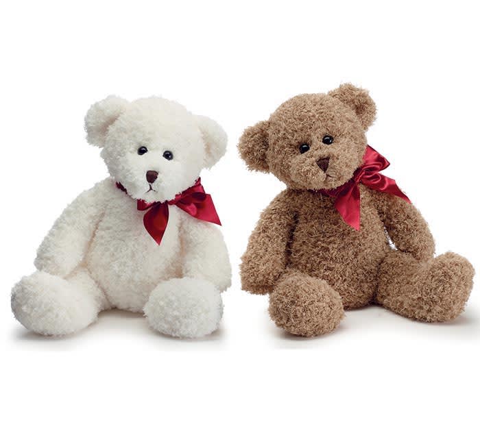 PLSH BROWN OR CREAM BEAR