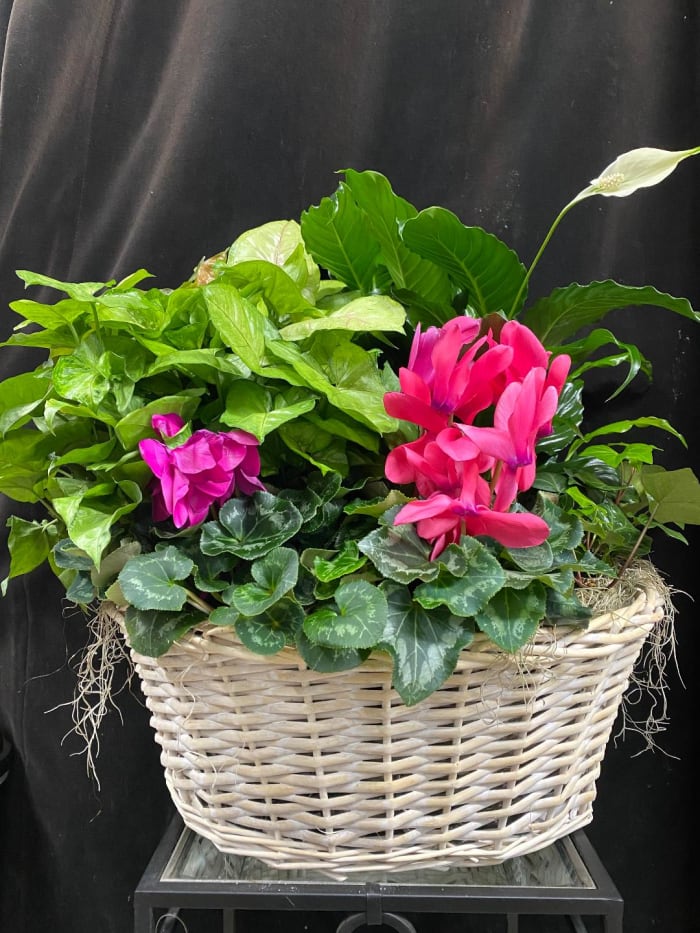 Flowering Plant Basket By TCG