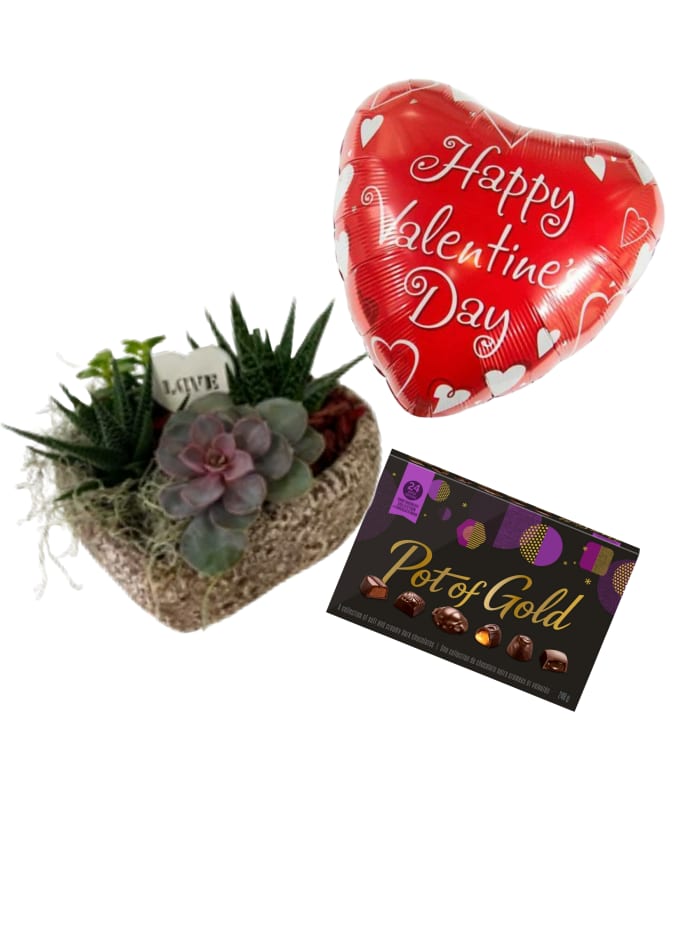 Valentine's Day Succulent Package