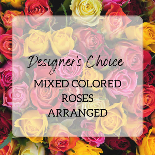 Roses Arranged - Mixed Colors