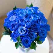 Blue Dream 2 Dozen Roses