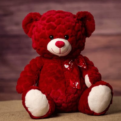 13" Red Valentine Bear