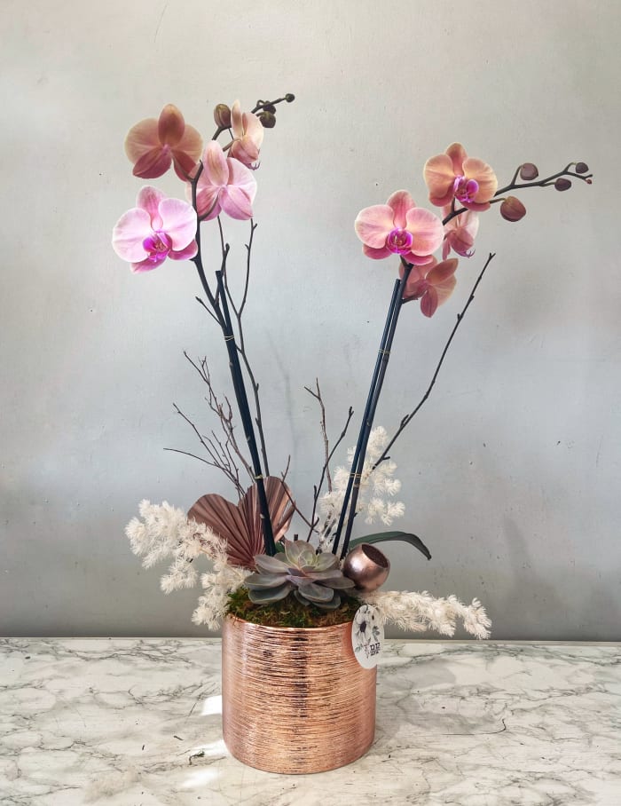 Love Grows - Orchid Planter*