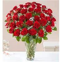 Five Dozen Red Roses In A  Vase