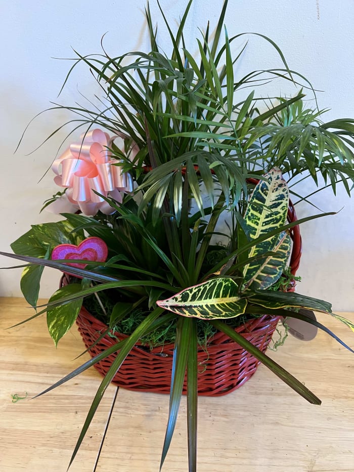 Tropical Basket