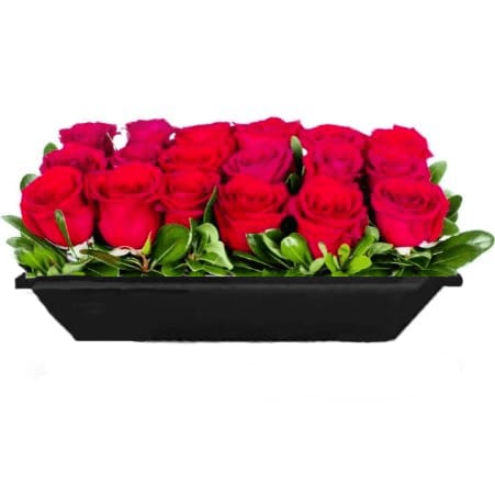 Timeless Elegance of Red Roses