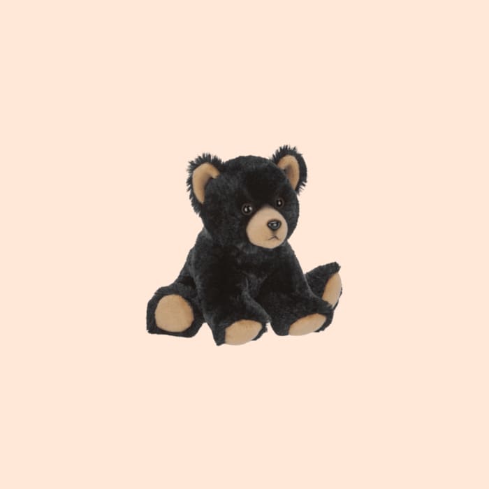 Small Teddy Bear