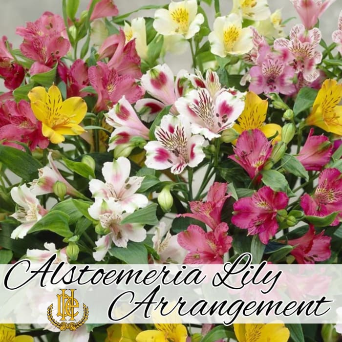 Alstroemeria Arrangement in A Vase