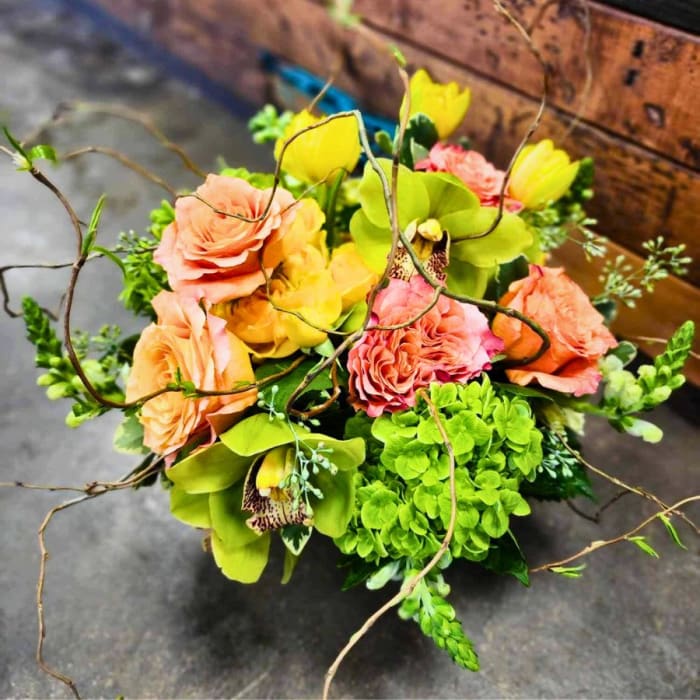 Spring Willow - Spring Flowers