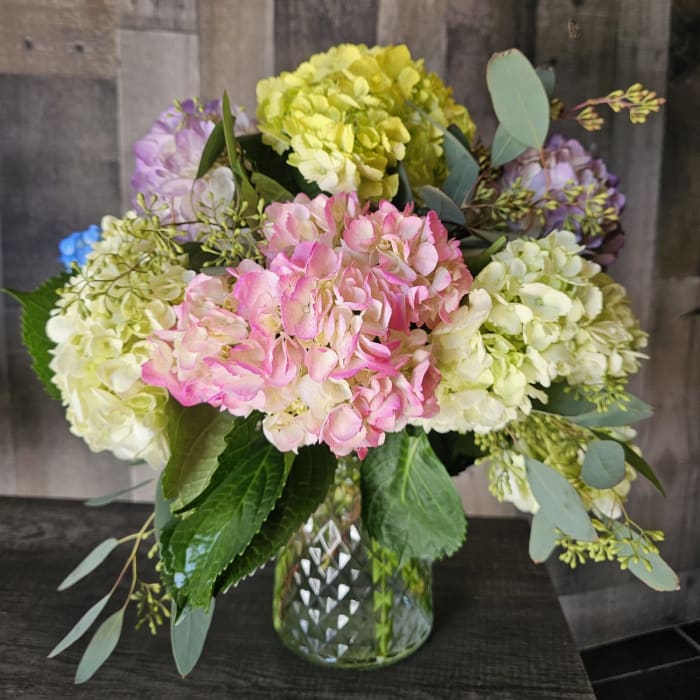 Sunday delivery-Hydrangea Delight