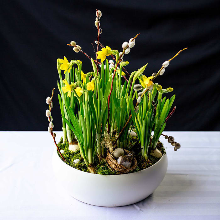 Ceramic Centerpiece - Bouncing Daffodils