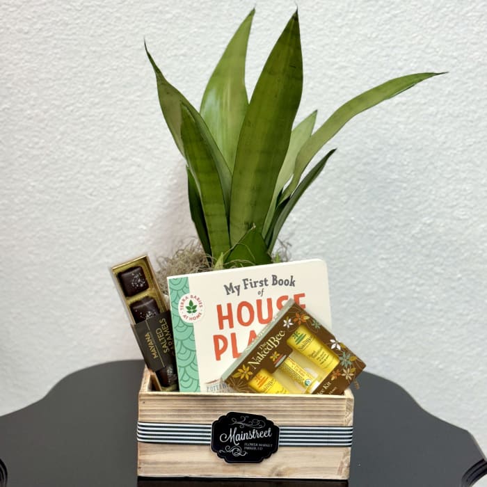 House Plant Giftbox